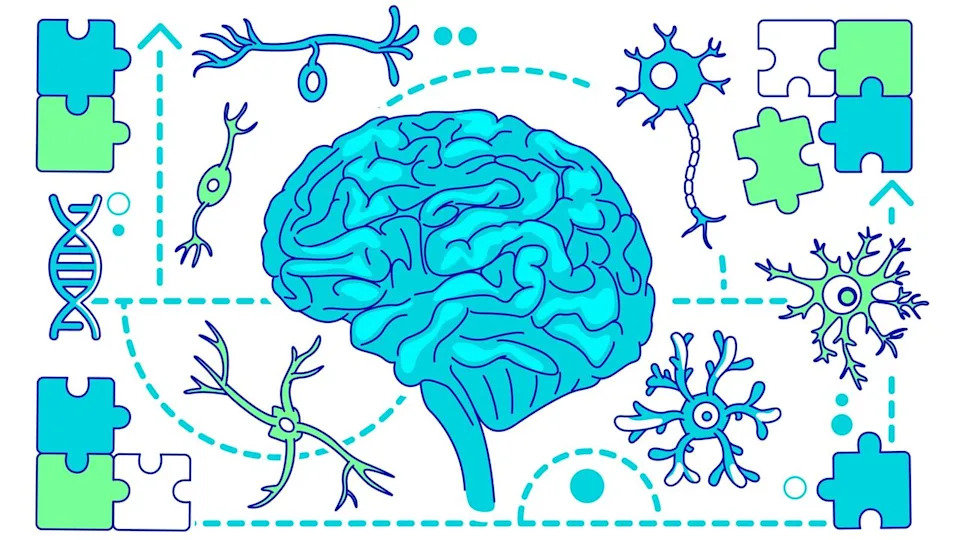  Brain with neurons and puzzle pieces. 