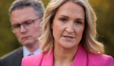 McEntee rejects ‘misinformation’ about sexual orientation elements of new primary curriculum – The Irish Times
