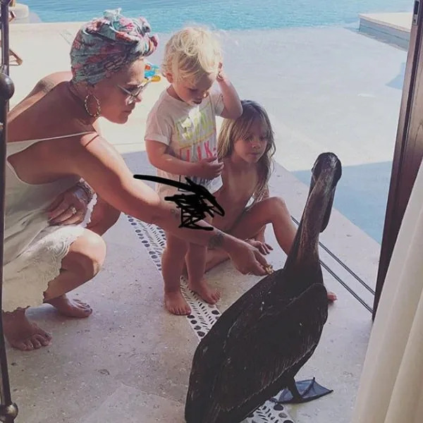 Meeting Sea Life