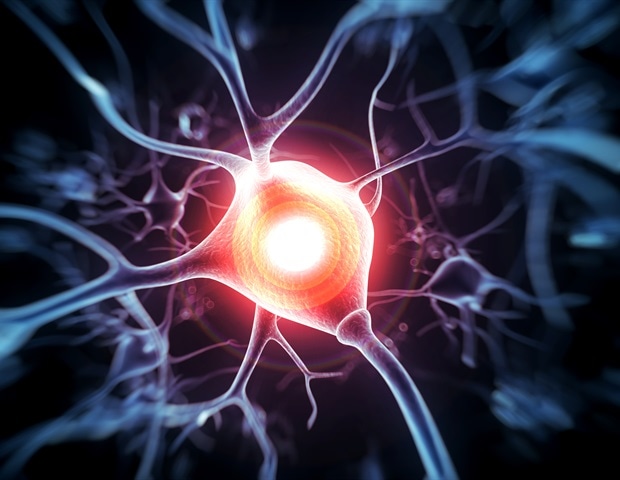 Electrical stimulation predicts recovery potential after acute nerve injuries