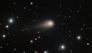 A comet with a compact coma and a short tail in front of a background of stars.