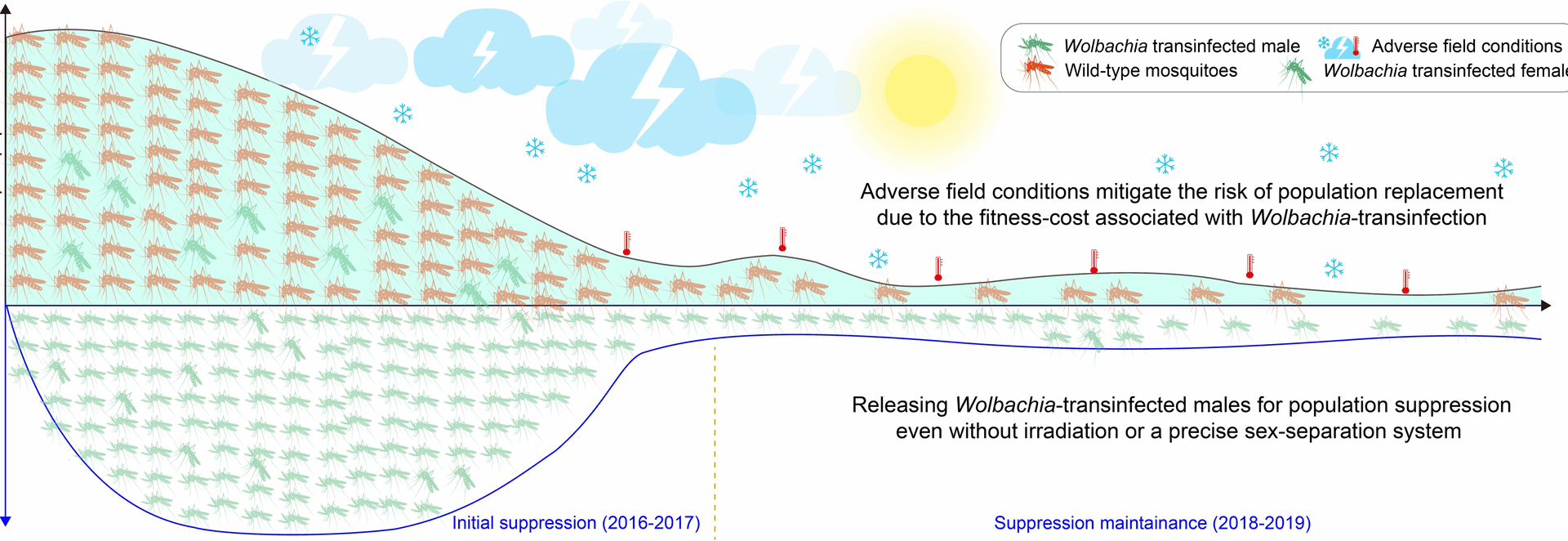 Ecological dynamics of field Aedes albopictus populations under Wolbachia-mediated suppression | Infectious Diseases of Poverty