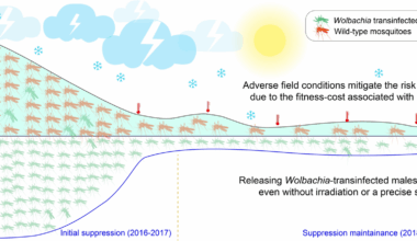 Ecological dynamics of field Aedes albopictus populations under Wolbachia-mediated suppression | Infectious Diseases of Poverty