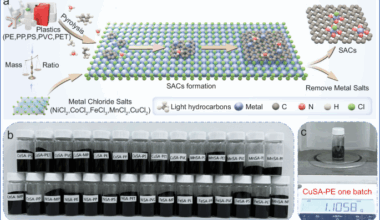 Salt-templated transformation of waste plastics into single-atom catalysts for environmental and energy applications