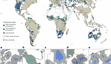 Highly protected areas buffer against aridity thresholds in global drylands