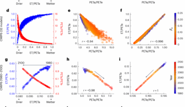 Neglecting land–atmosphere feedbacks overestimates climate-driven increases in evapotranspiration