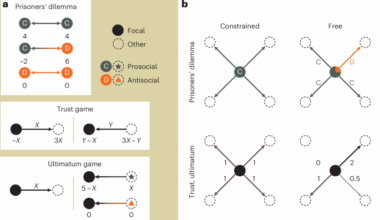 Social networking agency and prosociality are inextricably linked in economic games