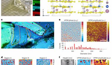 Mechanically liberating polarization bubbles in van der Waals ferroelectrics