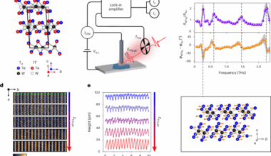 Terahertz field control of surface topology probed with subatomic resolution