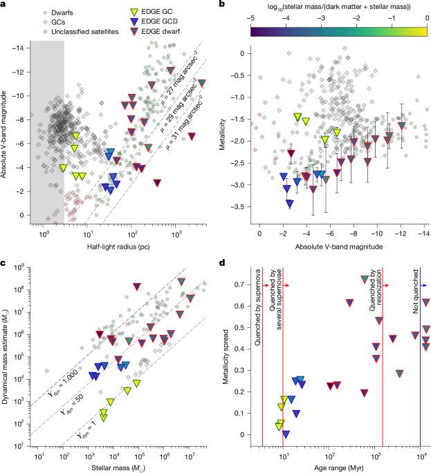 The emergence of globular clusters and globular-cluster-like dwarfs
