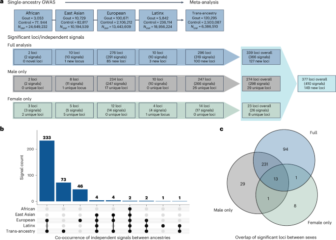 A genome-wide association analysis reveals new pathogenic pathways in gout