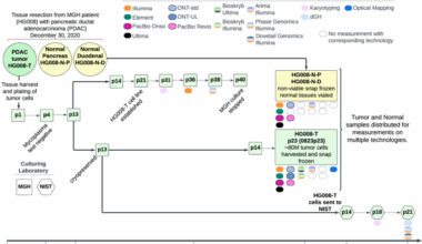 Development and extensive sequencing of a broadly-consented Genome in a Bottle matched tumor-normal pair