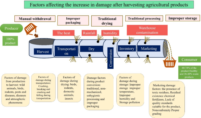 Investigating the impact of the internet on managing green financial innovation and improving agricultural conditions in water-scarce Asian regions using ANN modeling