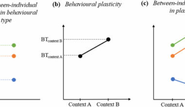 Flexible use of multimodal communicative strategies in adult chimpanzees
