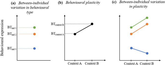 Flexible use of multimodal communicative strategies in adult chimpanzees