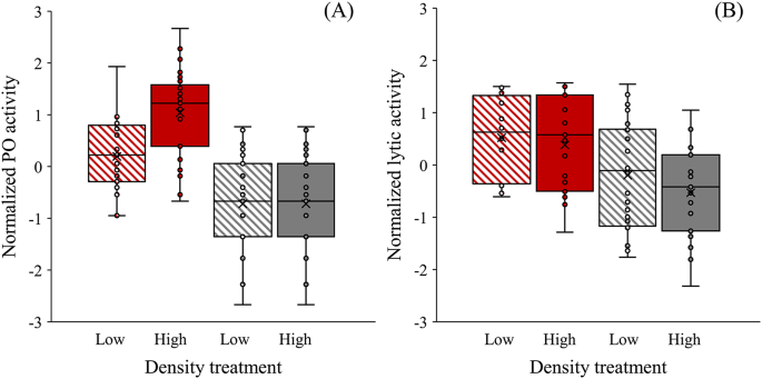 Effects of population density on immunity and reproduction in bean beetles Callosobruchus maculatus
