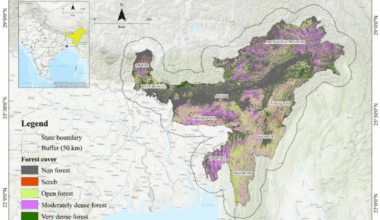 Habitat suitability and connectivity for clouded leopard Neofelis nebulosa in Northeast India