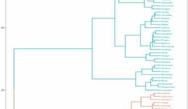 Examining regional disparities in maternal and child health in Bangladesh using cluster analysis of MICS 2019 data