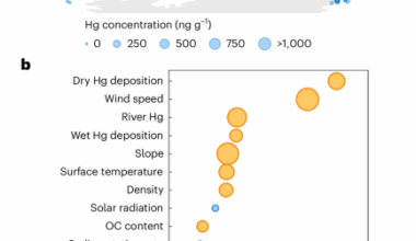 Fish trawling and climate perturbations threaten the largest marine mercury sink