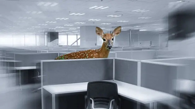 Fawning can be a lifelong habit that can take time to unlearn, so be kind to yourself if you find these self-protective patterns relatable.