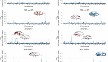 The overlapping genetic architecture of psychiatric disorders and cortical brain structure