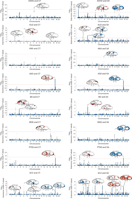 The overlapping genetic architecture of psychiatric disorders and cortical brain structure