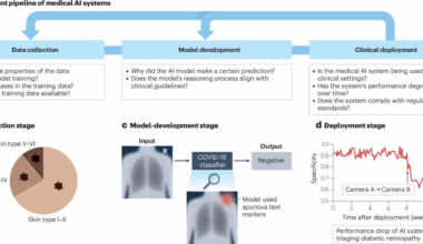 Transparency of medical artificial intelligence systems