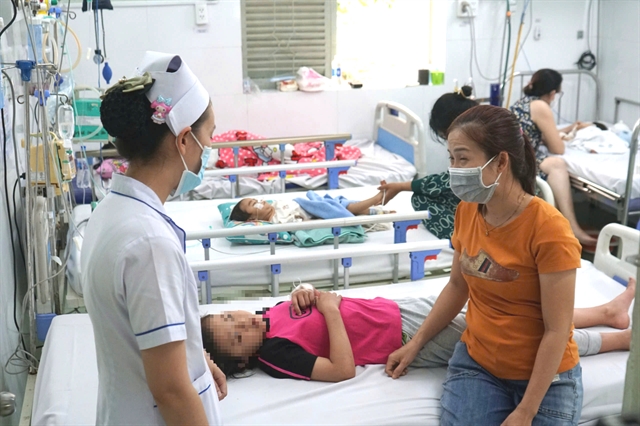 Over 65,000 cases of dengue fever in Vietnam this year with 11 deaths: health ministry