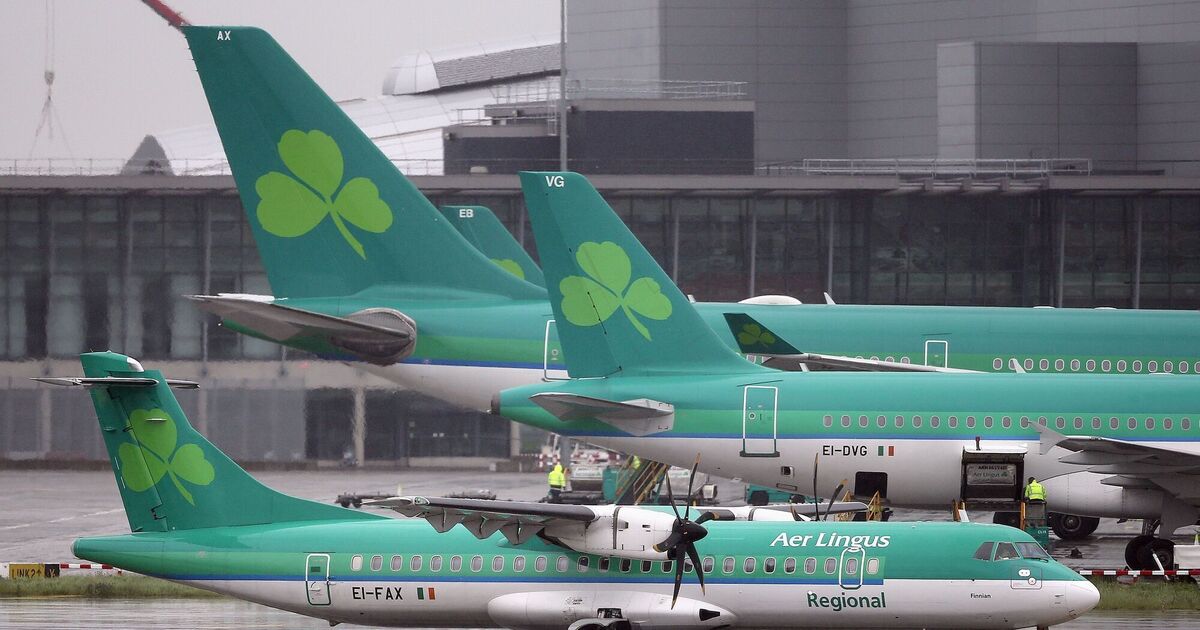 Aer Lingus cabin crew member who suffered miscarriage after flight takes unfair dismissal case 