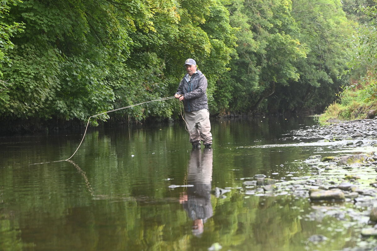 Tom Ankettell of Kanturk and District Trout Anglers fishing in the River Allow at Kanturk