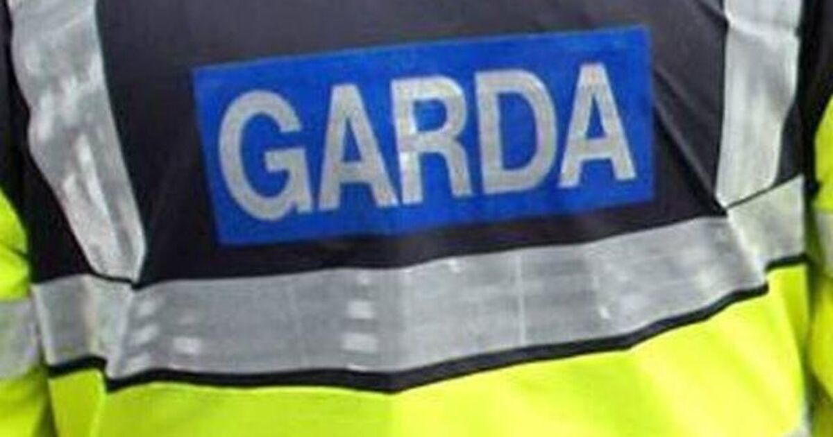 Theft of garda id and bank cards lands young Cork man with 220 hours of community service