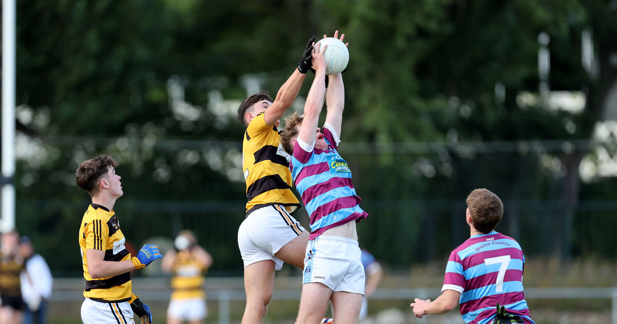 Strong start to second half stands to Ibane Gaels as they see off Na Piarsaigh