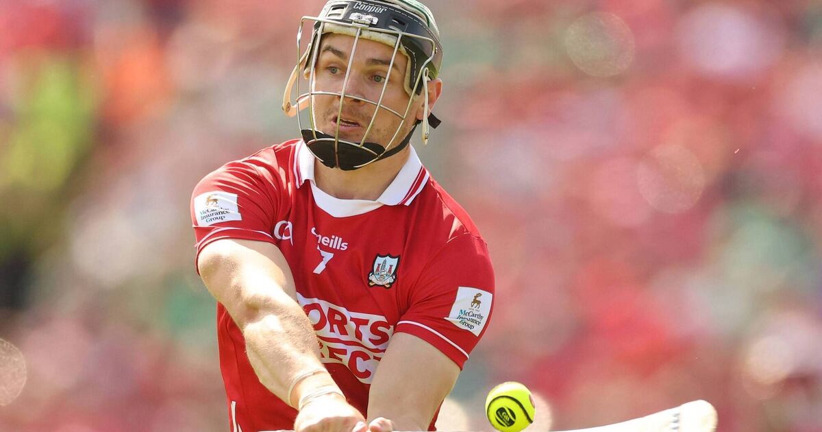 'It's a blank canvas, excited to play under him'