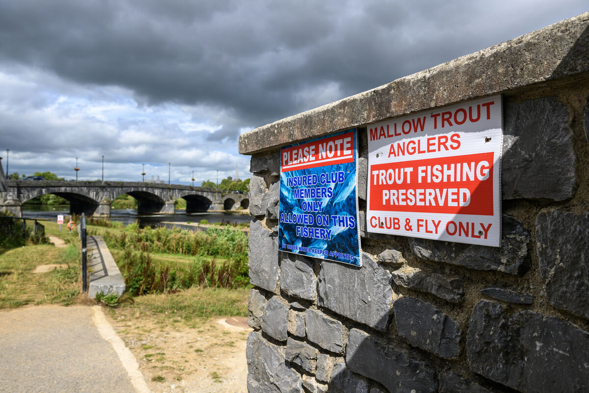 Salmon Watch Ireland said: 'The Blackwater, designated under the EU Habitats Directive for salmon, lamprey, and freshwater pearl mussel, is not only an ecological jewel but also a cultural and economic lifeline for the region.' File picture: Dan Linehan