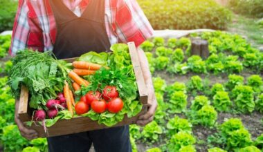 What are UPFs and how to easily eat more unprocessed food — plus a triple-protein dahl recipe