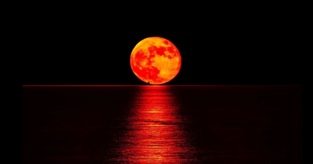 Rare 'Blood Moon' total lunar eclipse set to light up Irish skies this weekend