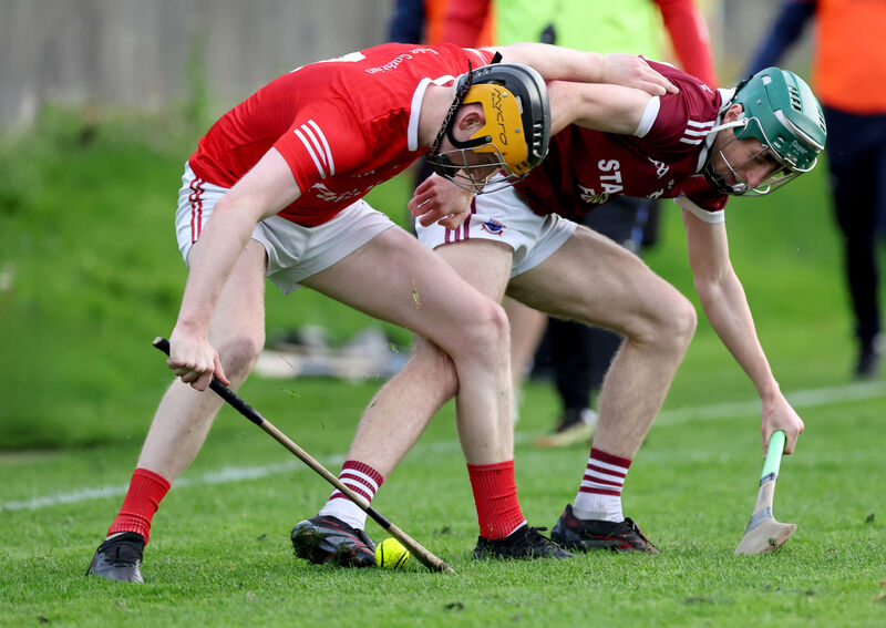  Eoin Mackey, Ballygarvan, battles James Crowley, Argideen Rangers, for the sliotar. Picture: Jim Coughlan.