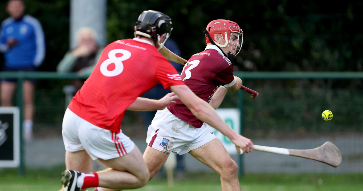 Ballygarvan beat Argideen Rangers in Premier Junior Hurling cracker but both teams move on