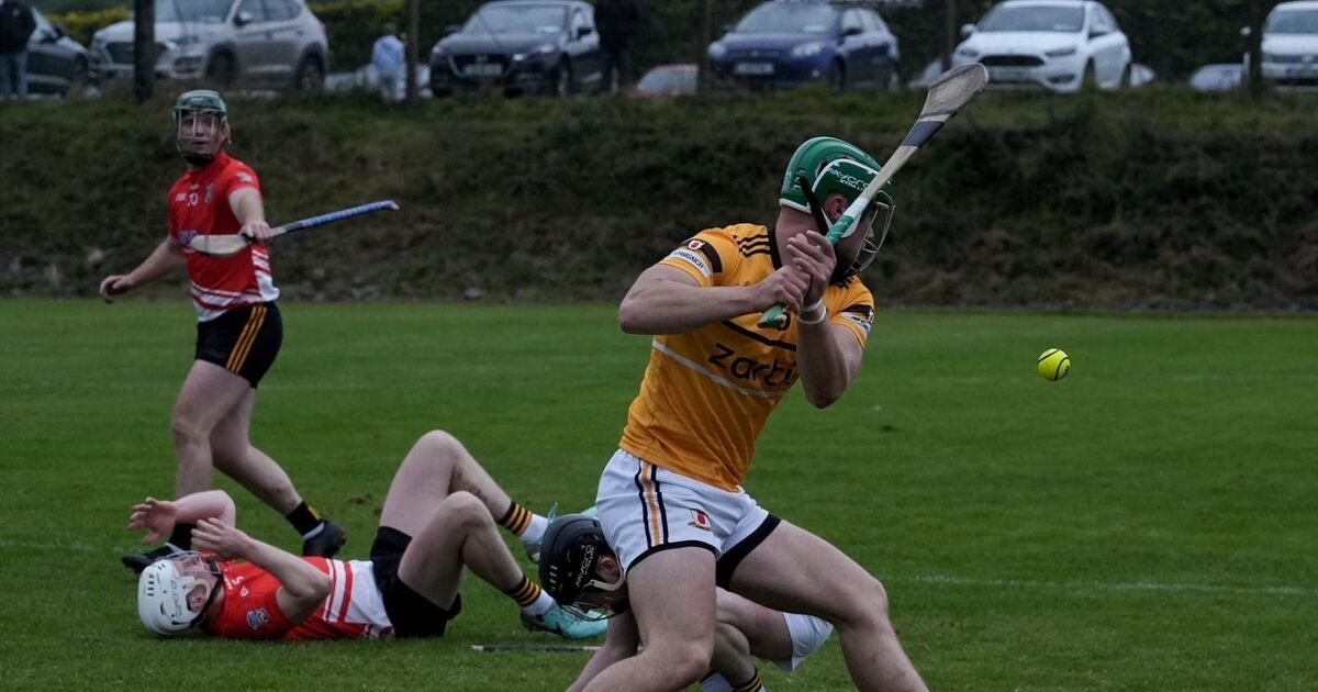 Na Piarsaigh secure place in SAHC last six with gritty display against Fermoy