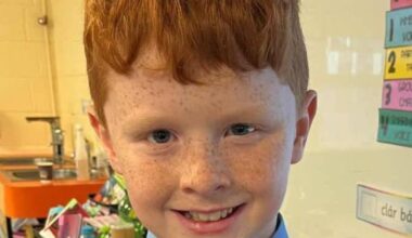 Parents of boy killed by van lose appeal against DPP's decision to bring no charges