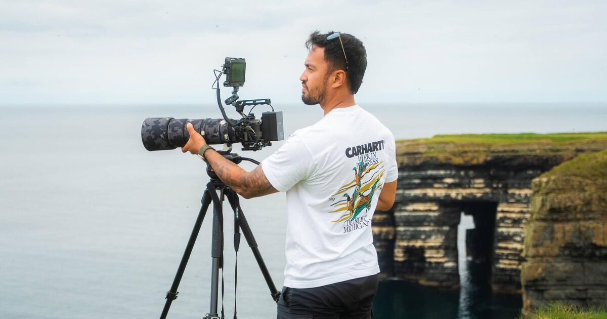 I went on a seafari in Sligo to see whales and dolphins — but they might be on borrowed time