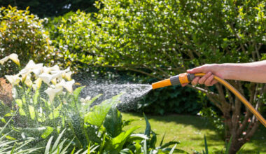 Hosepipe in place for Cork county to end next week 