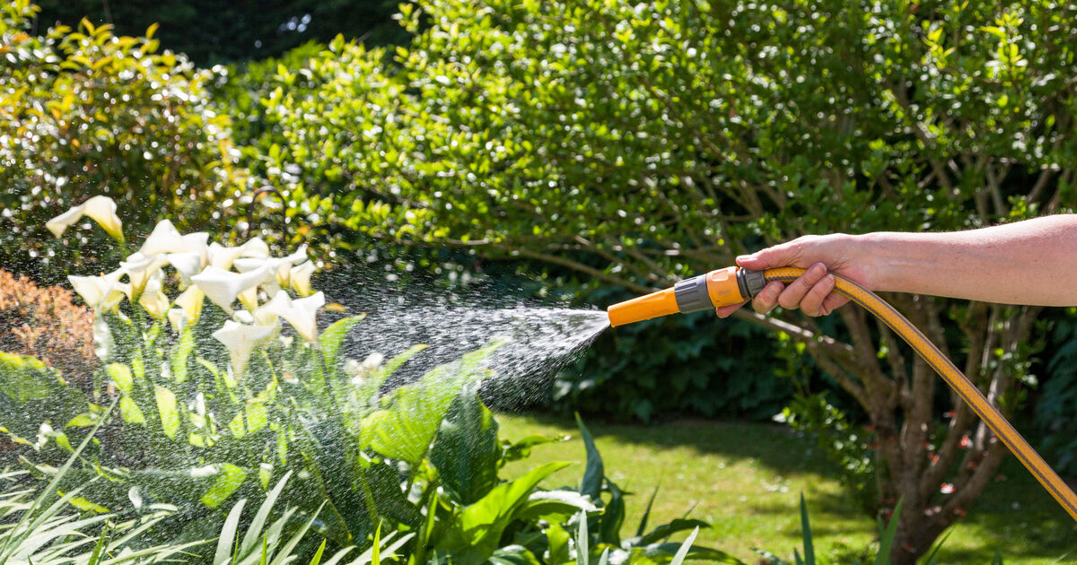 Hosepipe in place for Cork county to end next week 
