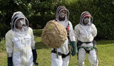 Biodiversity experts plan for arrival of invasive species amid rise in temperatures