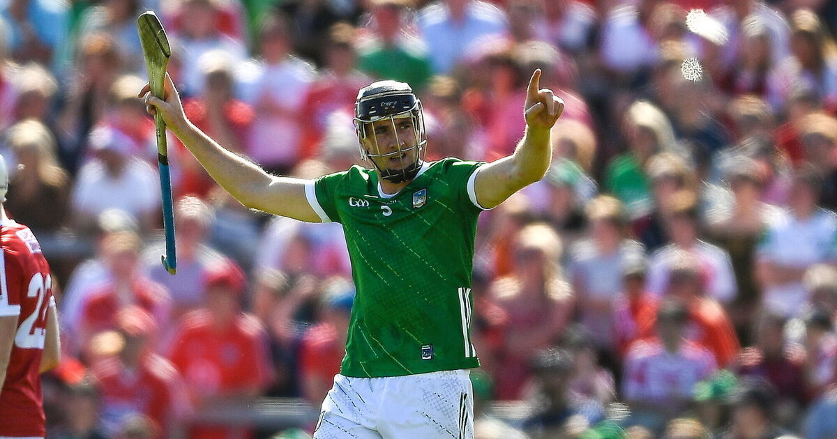 GAA community in shock as father of Limerick senior hurler stabbed at his home