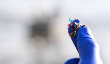 Plastics may be linked to rise in Alzheimer's and Parkinson's diseases, research finds