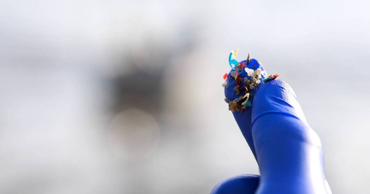 Plastics may be linked to rise in Alzheimer's and Parkinson's diseases, research finds