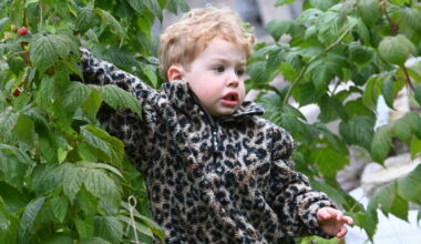Mother of Cork toddler 'Jimmy the miracle' urges parents to learn signs of sepsis