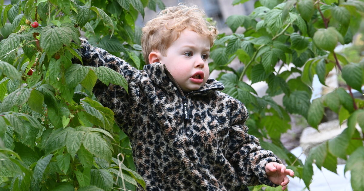 Mother of Cork toddler 'Jimmy the miracle' urges parents to learn signs of sepsis
