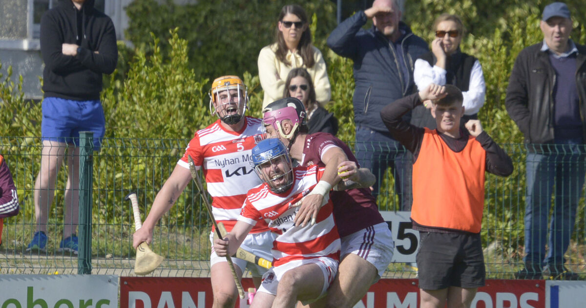 Courcey Rovers strike late to relegate Bishopstown from Senior A Hurling